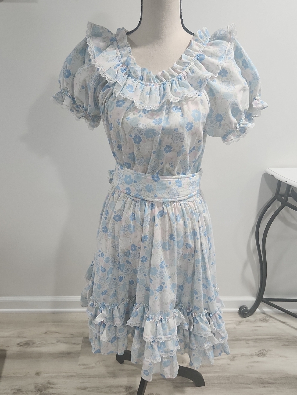 NWOT. Jeri Bee Vintage 80's Square Dance Dress Sz.12  Cottagecore